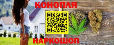 сатива Будённовск