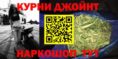 сатива Будённовск