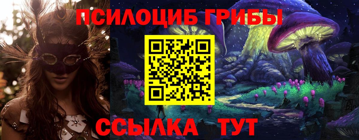 Галлюциногенные грибы прущие грибы Реж