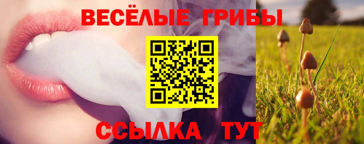 Псилоцибиновые грибы Psilocybe  Вход с VPN  Реж 